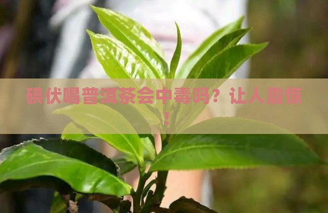 碘伏喝普洱茶反应
