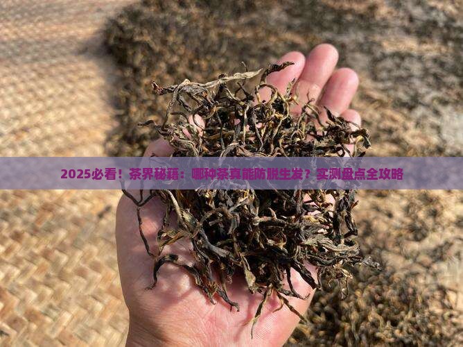 什么茶能防脱生发