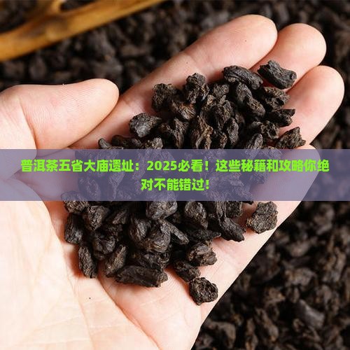 普洱茶五省大庙遗址