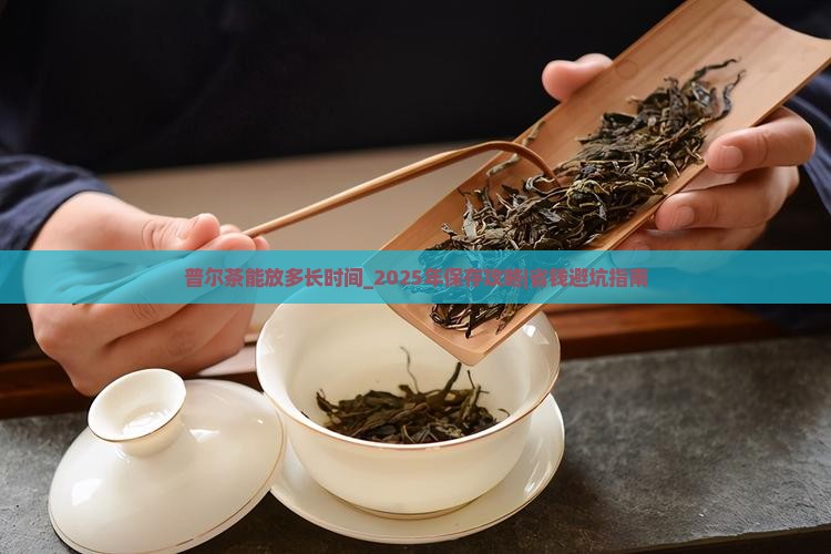 普尔茶能放多长时间