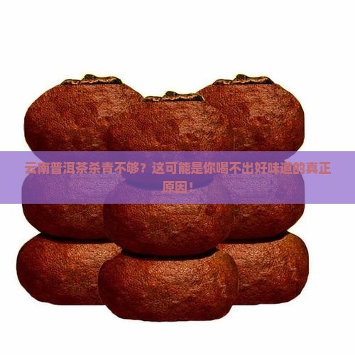 云南普洱茶杀青不够