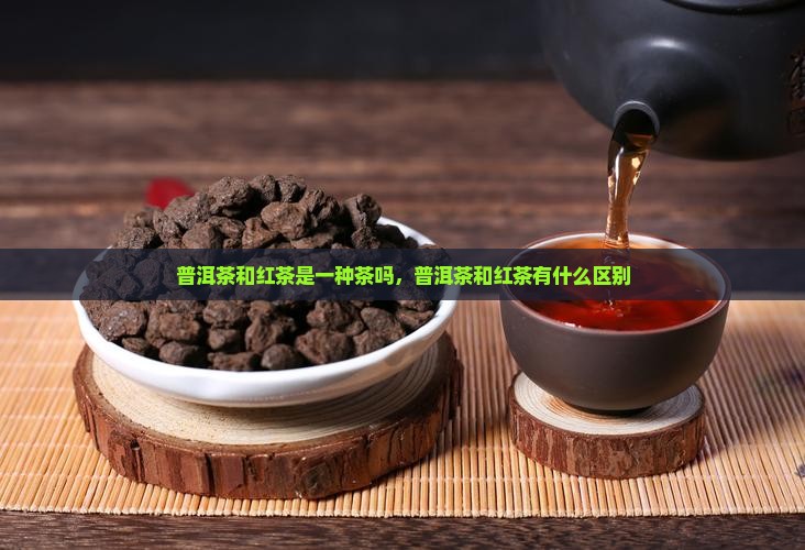 普洱茶和红茶是一种茶吗
