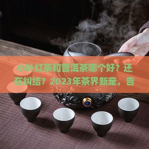 小叶红茶和普洱茶哪个好