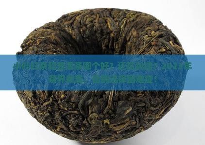 小叶红茶和普洱茶哪个好