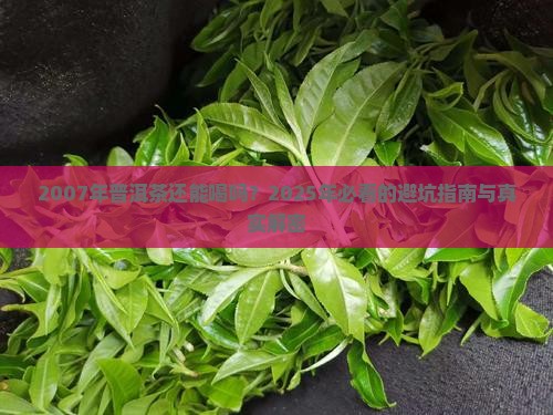 2007年普洱茶过期了吗