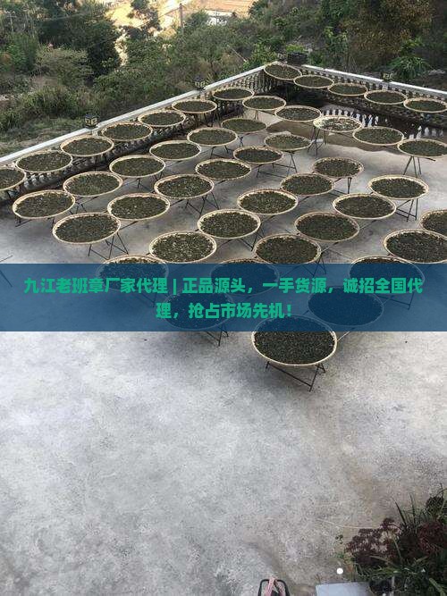 九江老班章厂家代理