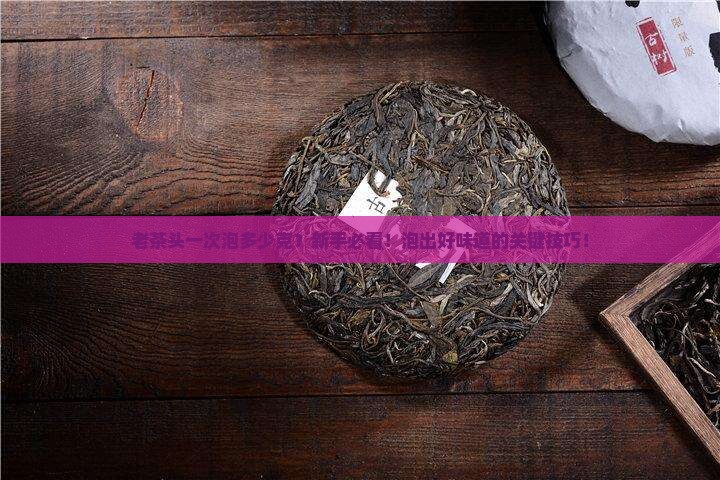 老茶头一次泡多少克