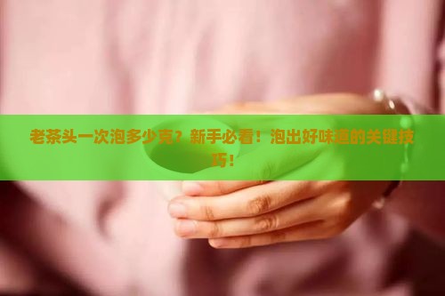 老茶头一次泡多少克