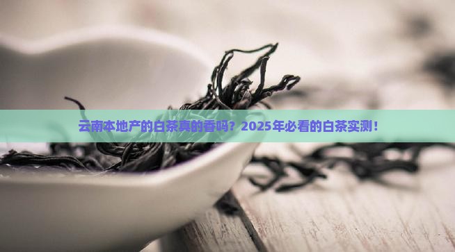 云南本地产的白茶很香吗