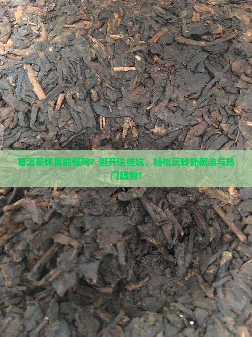 普洱茶的9个基本知识