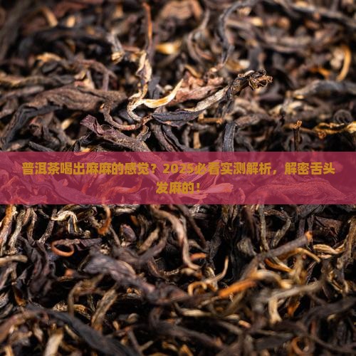 普洱茶舌苔发麻
