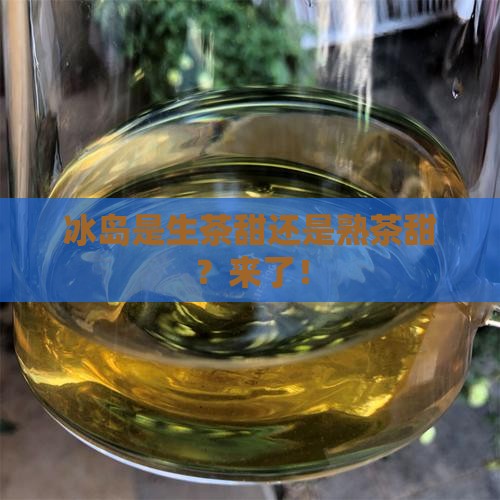 冰岛是生茶甜还是熟茶甜