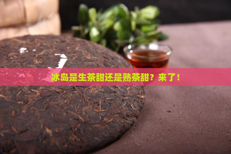 冰岛是生茶甜还是熟茶甜