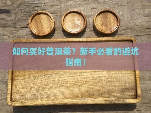 如何买好普洱茶