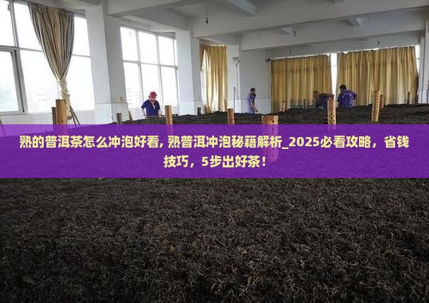 熟的普洱茶怎么冲泡好看