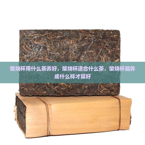 柴烧杯用什么茶养好