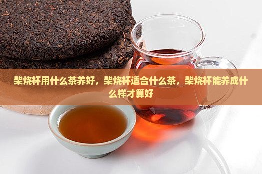 柴烧杯用什么茶养好