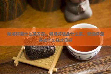 柴烧杯用什么茶养好