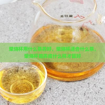柴烧杯用什么茶养好