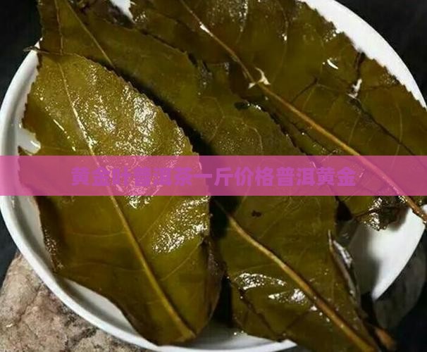 黄金叶普洱茶5000一斤