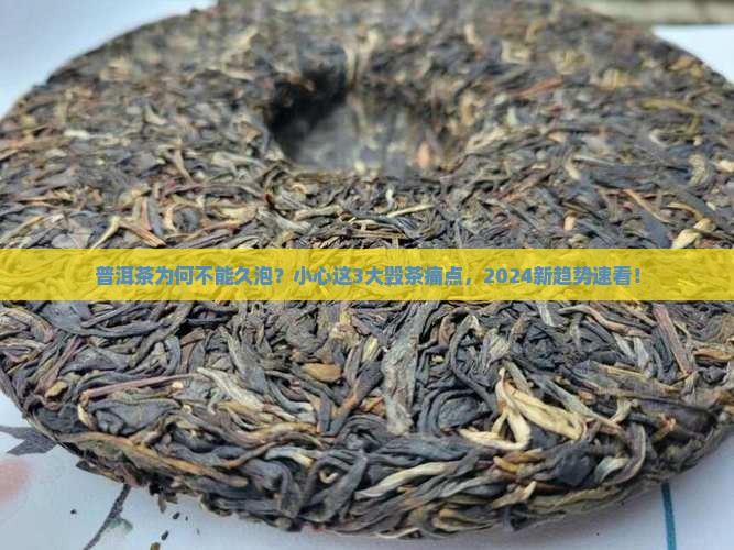 普洱茶为何不能久泡