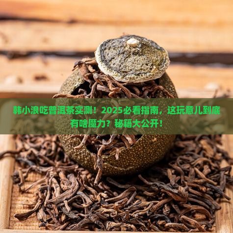 韩小浪吃普洱茶