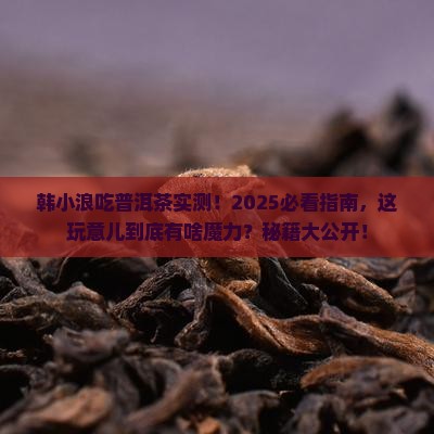 韩小浪吃普洱茶