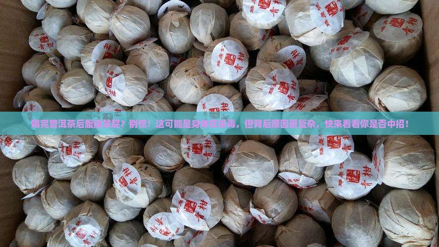 喝完普洱茶后腹痛放屁