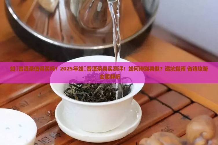 如珪普洱茶怎么样