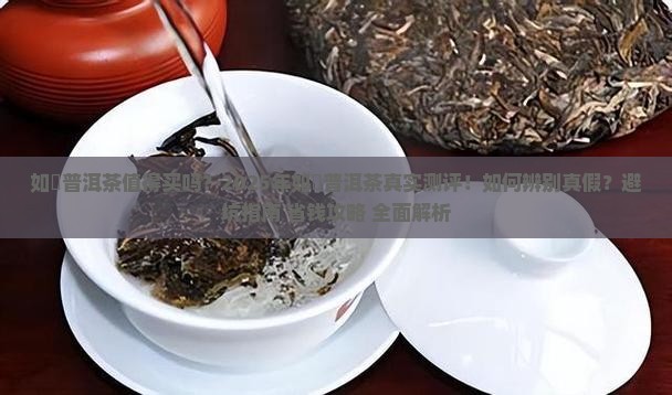 如珪普洱茶怎么样