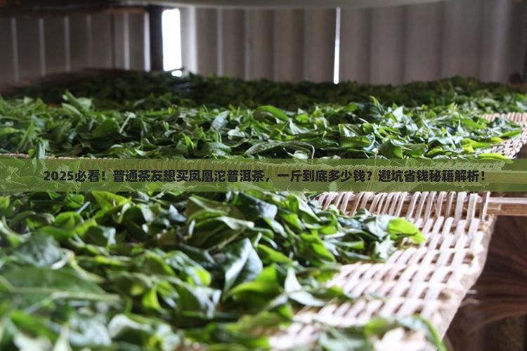 凤凰沱普洱茶多少钱一斤