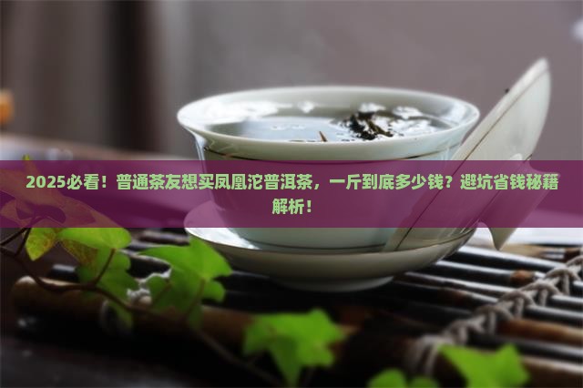 凤凰沱普洱茶多少钱一斤