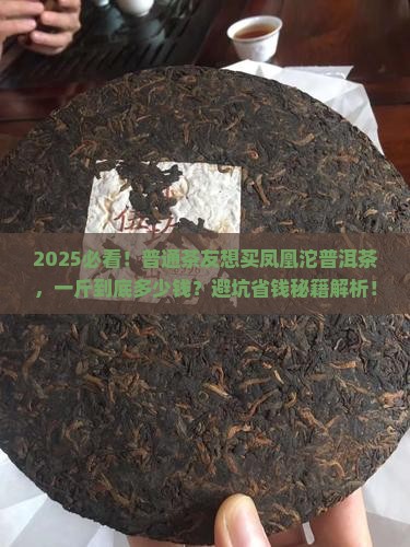 凤凰沱普洱茶多少钱一斤