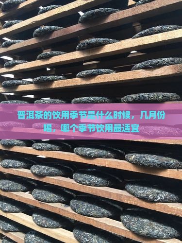 普洱茶的饮用季节