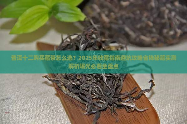 普洱十二生肖购买藏茶 普洱十二生肖购买藏茶