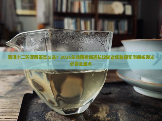 普洱十二生肖购买藏茶 普洱十二生肖购买藏茶