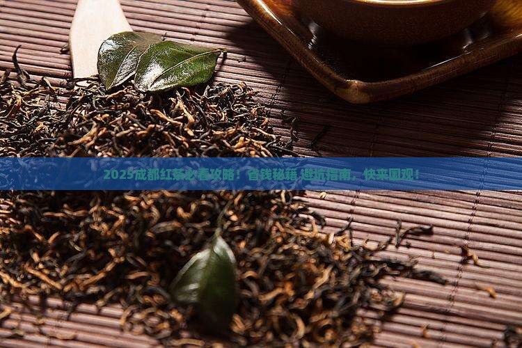 红茶到哪买成都