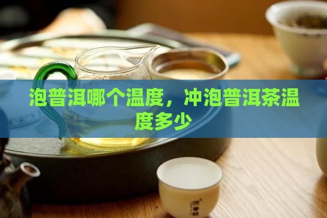 泡普洱哪个温度