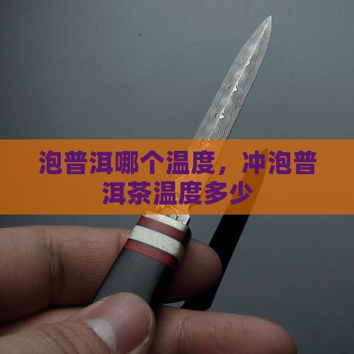 泡普洱哪个温度