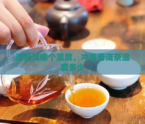 泡普洱哪个温度