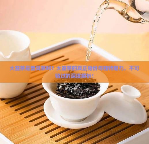 大益茶是普洱茶吗