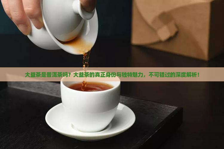 大益茶是普洱茶吗