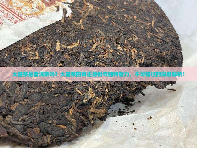 大益茶是普洱茶吗