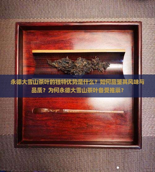 永德大雪山茶叶的独特优势是什么？如何品鉴其风味与品质？为何永德大雪山茶叶备受推崇？