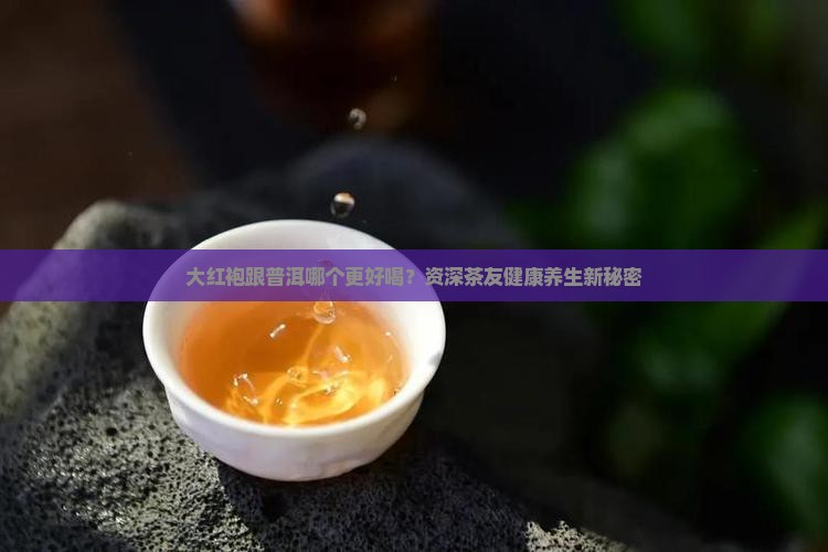 大红袍跟普洱哪个更好喝？资深茶友健康养生新秘密