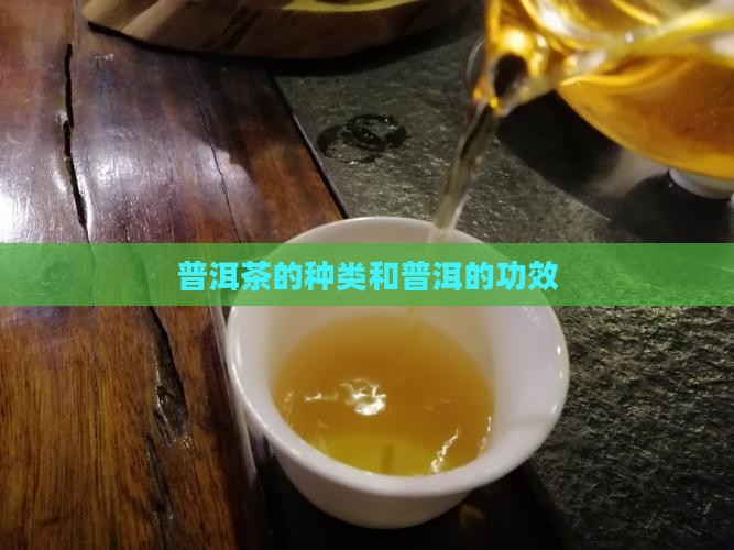 普洱茶的种类和普洱的功效