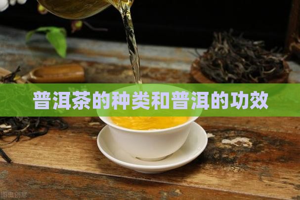 普洱茶的种类和普洱的功效