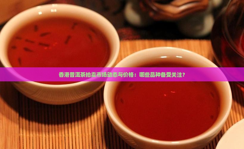 香港普洱茶拍卖市场动态与价格：哪些品种备受关注？