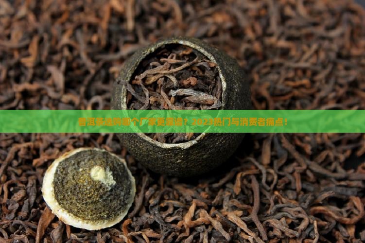 普洱茶选购哪个厂家更靠谱？2023热门与消费者痛点！