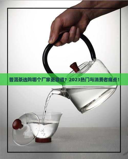 普洱茶选购哪个厂家更靠谱？2023热门与消费者痛点！